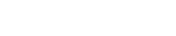 NetInfluencer logo